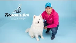 Dominika sníva o psom pomocníkovi | Neposlušní