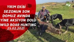WILD BOAR HUNTING AV ZAMANI YIKIM EKİBİ 2020 - 2021 SEZONU SON DOMUZ AVI